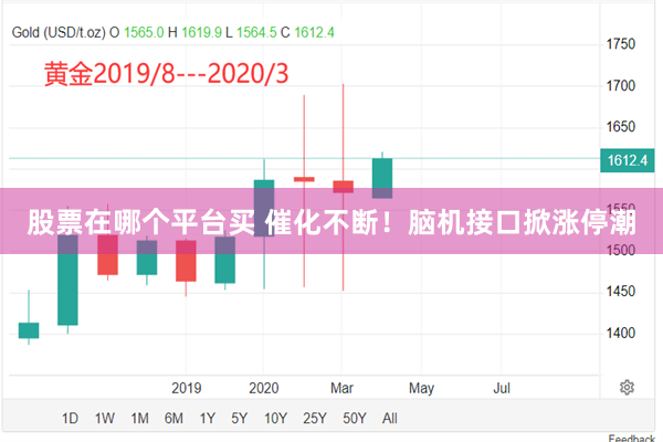 股票在哪个平台买 催化不断！脑机接口掀涨停潮