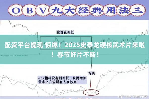 配资平台提现 惊爆！2025史泰龙硬核武术片来啦！春节好片不断！