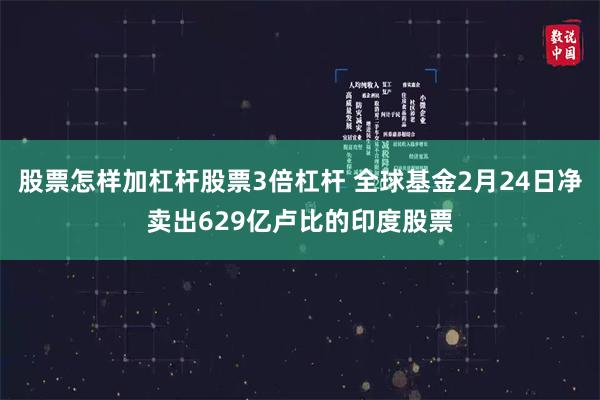 股票怎样加杠杆股票3倍杠杆 全球基金2月24日净卖出629亿卢比的印度股票