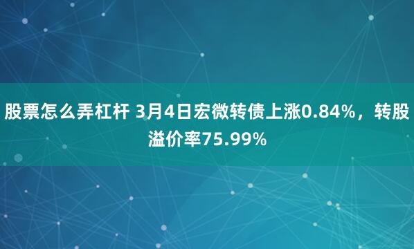 股票怎么弄杠杆 3月4日宏微转债上涨0.84%，转股溢价率75.99%